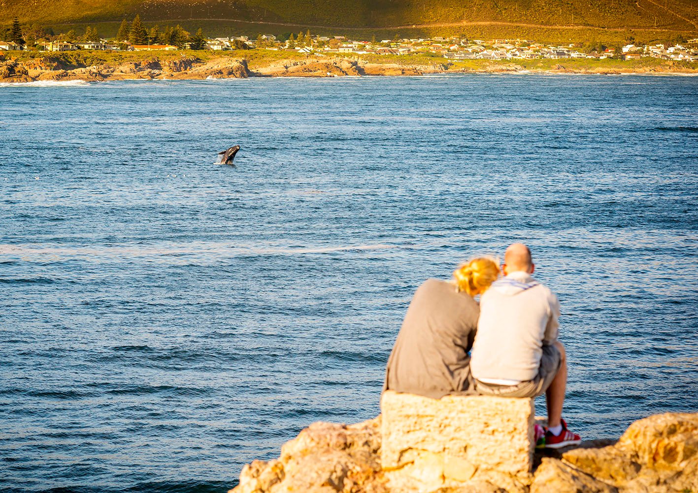 Couple In Hermanus At Sunset Whale Watching Hermanus: An unidentified couple whale watching in Hermanus, South Africa. Hermanus is famous for Southern Right Whale watching.